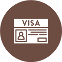 visa icon