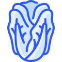 repollo icon