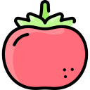 tomate icon