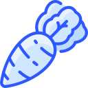 daikon icon