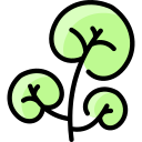 Watercress icon