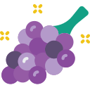 uvas icon