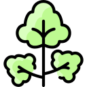 cilantro icon