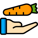 zanahoria icon