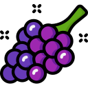 uvas icon
