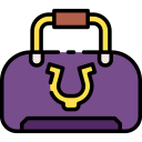 bolsa icon