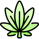 canabis icon