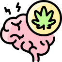 cerebro icon