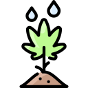 cultivo icon