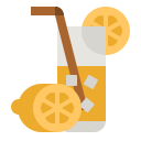 jugo de limon icon