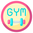 gimnasia icon