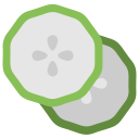 rodaja de pepino icon