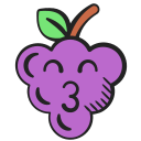 uvas icon