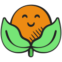 physalis icon