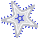 estrella de mar