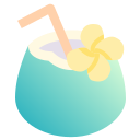 agua de coco icon