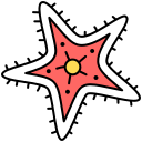 estrella de mar