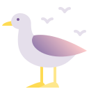 gaviota icon