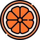 rodaja de naranja icon