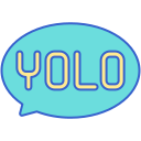 Yolo icon