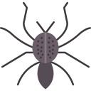 araña