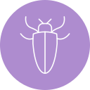 barata 