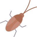 cucaracha