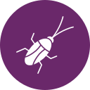 barata 