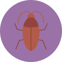 barata 