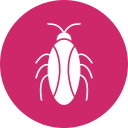 barata 