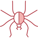 araña icon