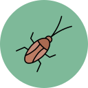 barata 