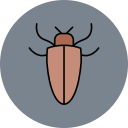 barata 
