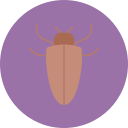 barata 