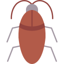 cucaracha