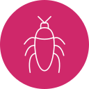 barata 