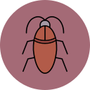 barata 