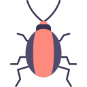 cucaracha