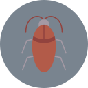 barata 