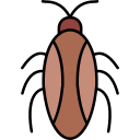 cucaracha icon