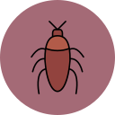 barata 