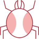 araña icon