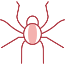 araña