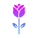 rosa icon