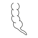 Appendix 