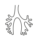 bronchien 