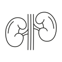 riñones icon