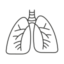 pulmones icon