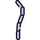 streptobacillus moniliformis icon