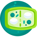 célula vegetal icon